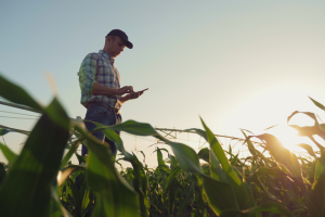 Farmland real estate professionals discussing property details at sunset with field in background