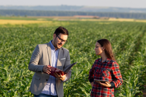 Historic farmland consultation meeting among landowners and real estate professionals in the field