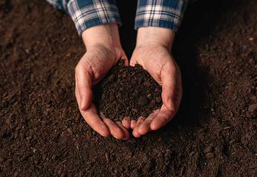 hands holding soil