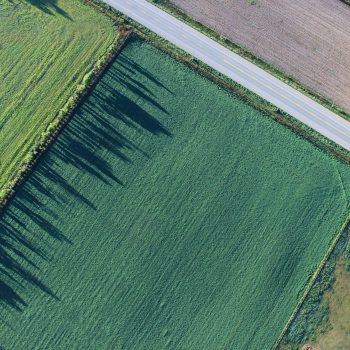 arial view of fields