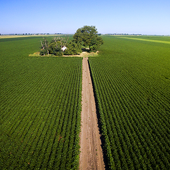 farm house in the middle of a field