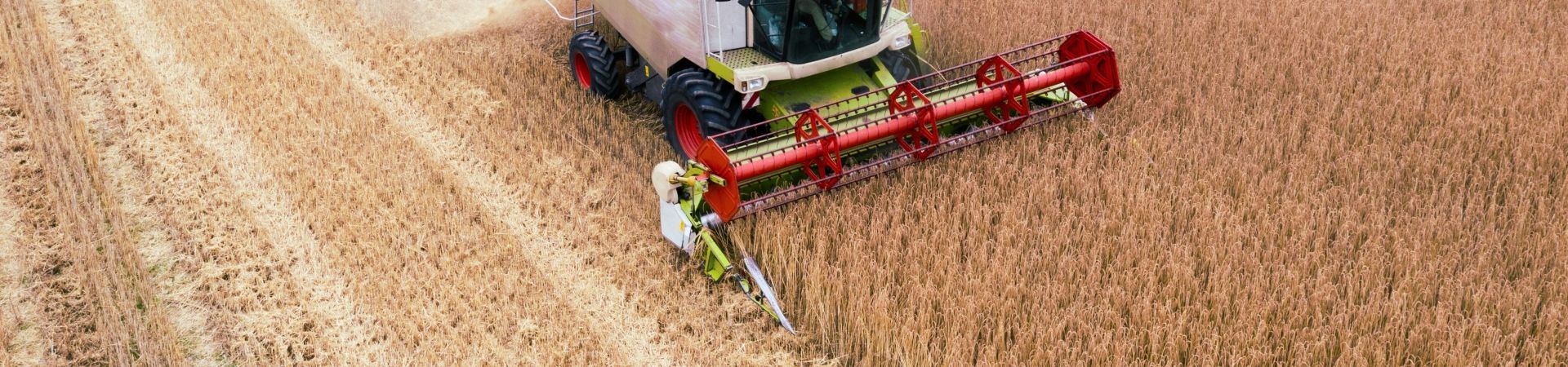 Daniel-beckemeier-5pxxtkxggq0-unsplash