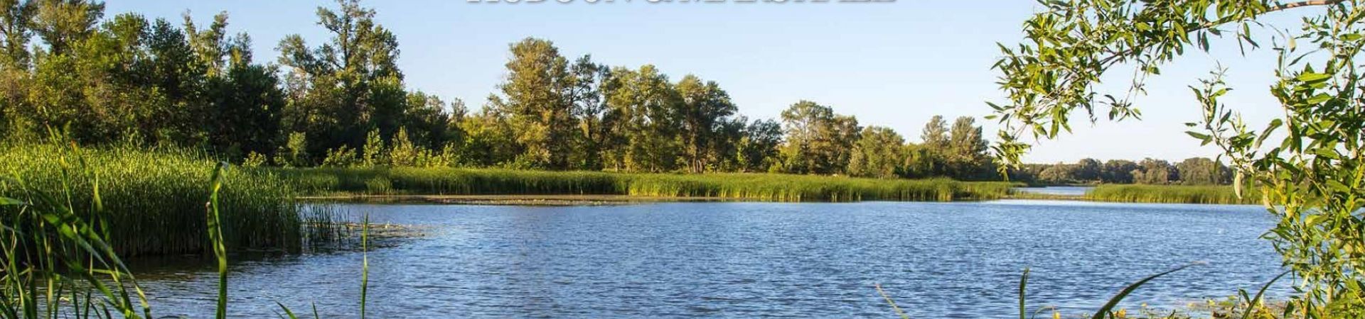 Hudson-marshall-auctions-4-36ed575ce0