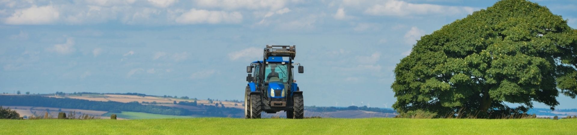 Field-agriculture-farm-grass