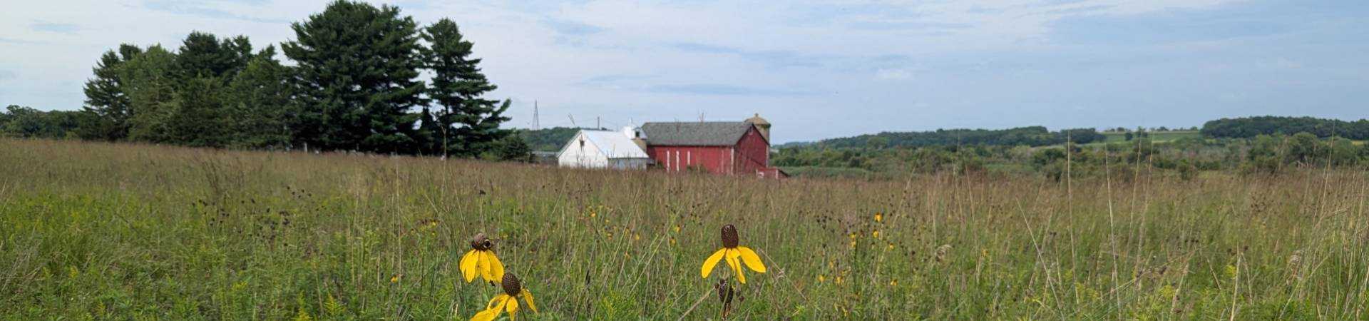 Pxl 20250818 220132975-2