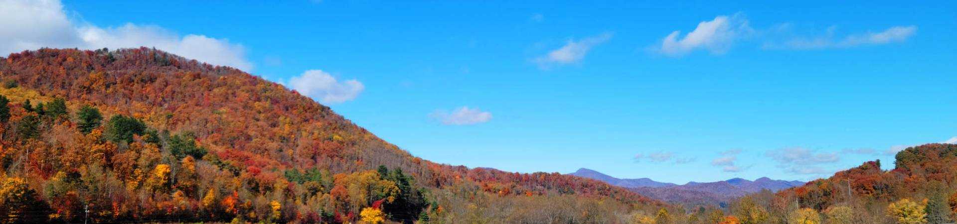 K and b fall pic copy