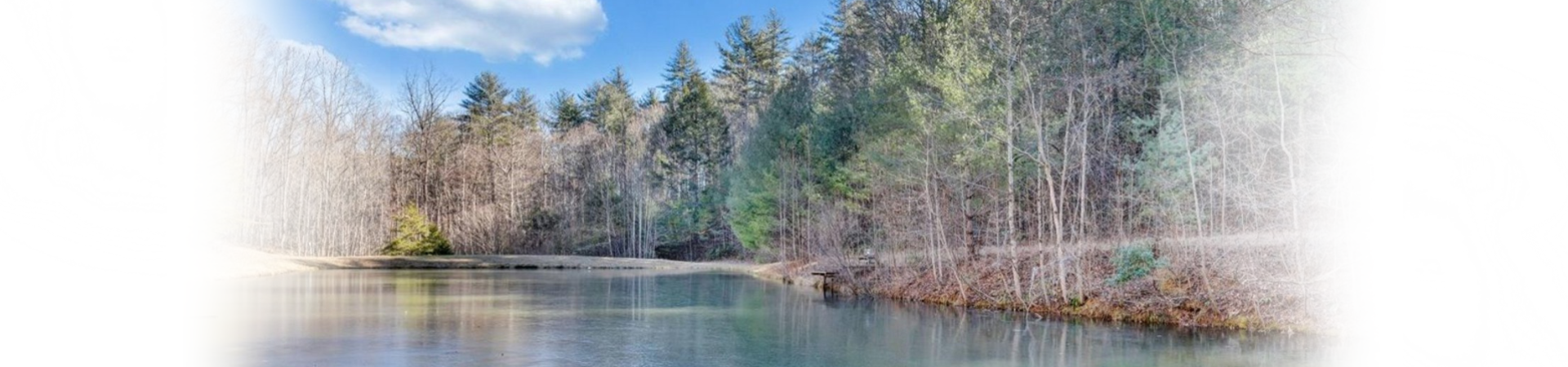 Untitled (1920 x 450 px)