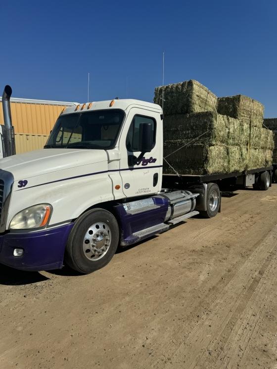 Image for 2014 Freightliner Cascadia S/A Truck Tractor