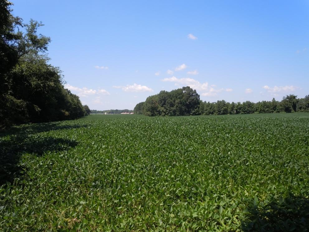 Image for 5 Preserved Farms, Burlington County,NJ-SOLD!