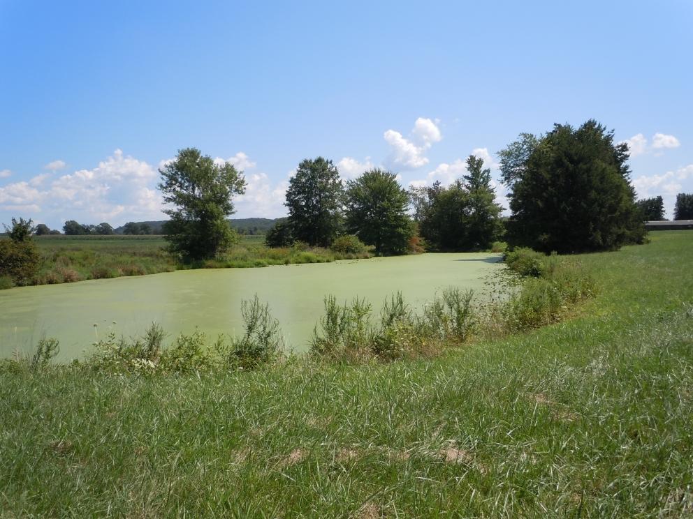 Image for 5 Preserved Farms, Burlington County,NJ-SOLD!