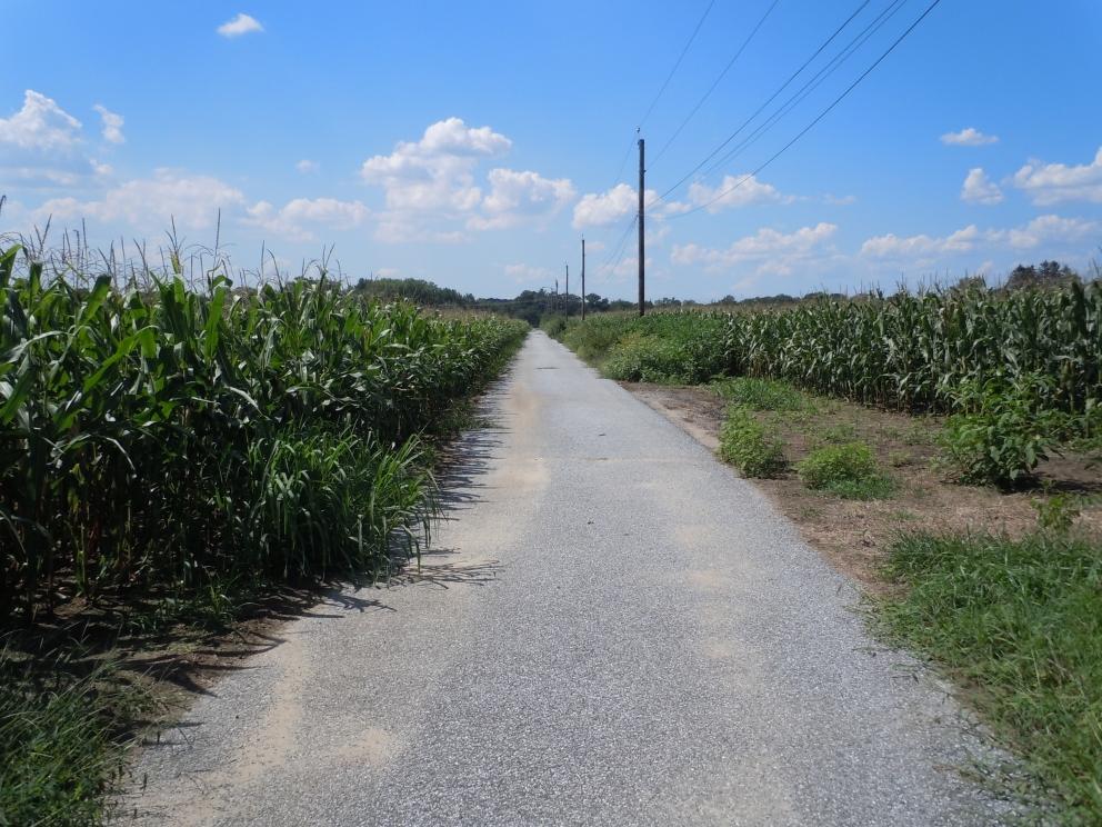 Image for 5 Preserved Farms, Burlington County,NJ-SOLD!