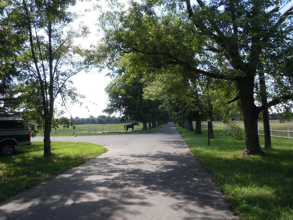 Image for 5 Preserved Farms, Burlington County,NJ-SOLD!