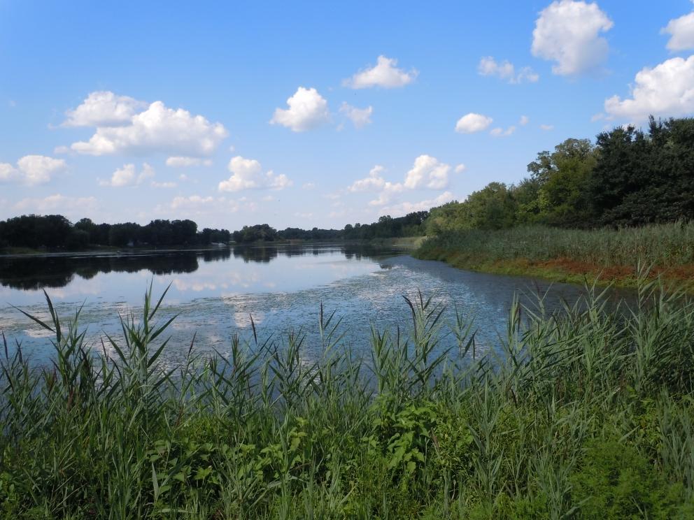 Image for 5 Preserved Farms, Burlington County,NJ-SOLD!