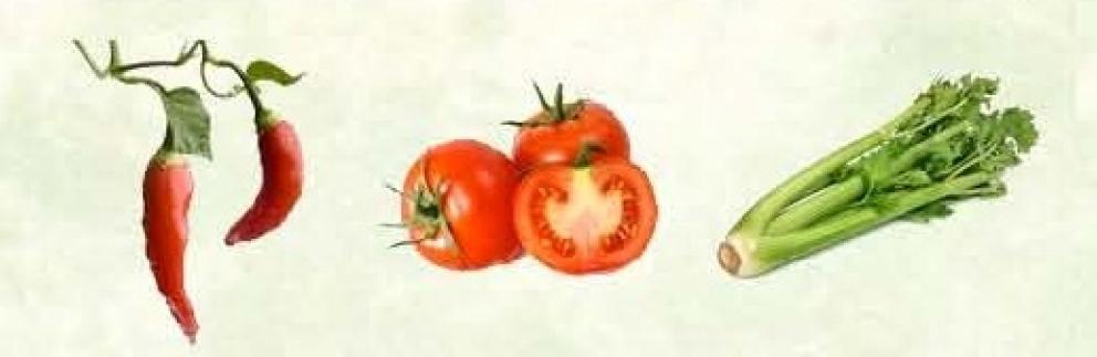 Image for 5 Preserved Farms, Burlington County,NJ-SOLD!