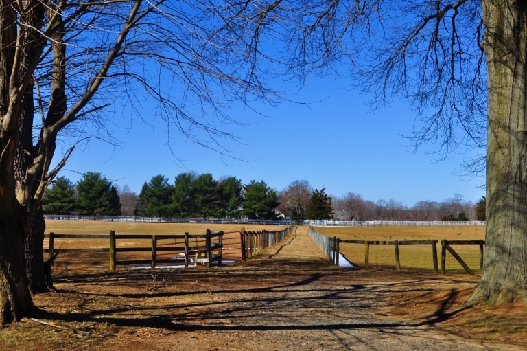 Image for Equestrian Farm on 45.6+/- Acres in the Storied Horse Country of Colts Neck, NJ-SOLD!