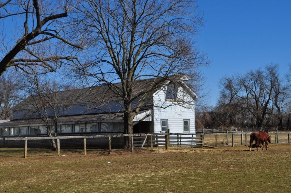 Auction Equestrian Farm in the Storied Horse Country of Colts Neck, NJ