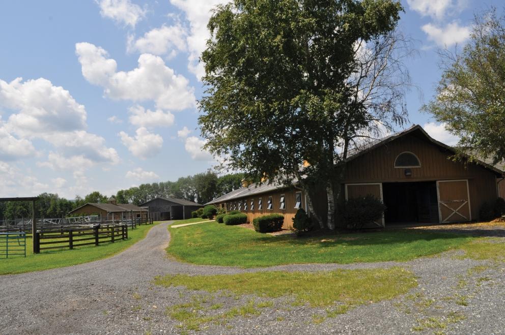 144 Acres Preserved Farmland for Auction Sale