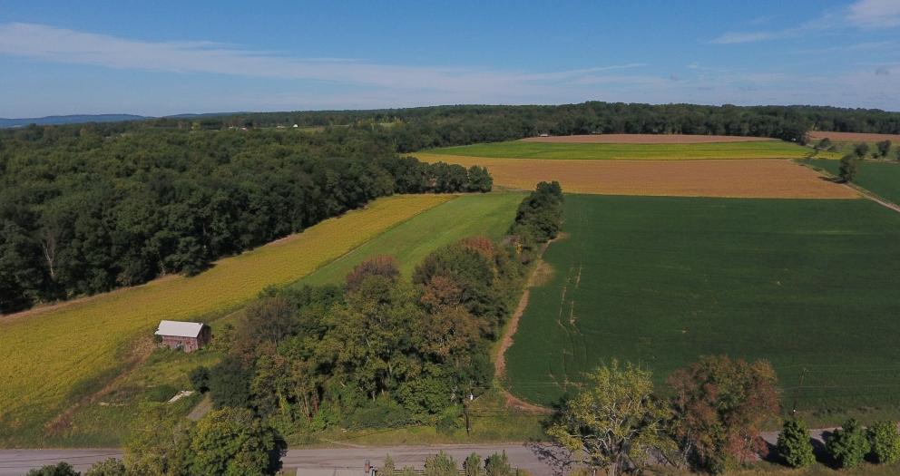 Image for 80.2 +/- Acres Preserved Farmland in Alexandria Twp, NJ-SOLD!