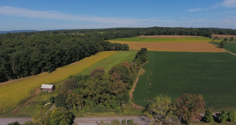 Image for 80.2 +/- Acres Preserved Farmland in Alexandria Twp, NJ-SOLD!