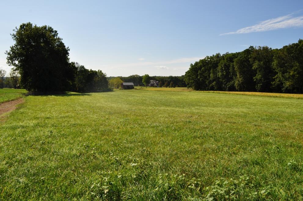 Image for 80.2 +/- Acres Preserved Farmland in Alexandria Twp, NJ-SOLD!