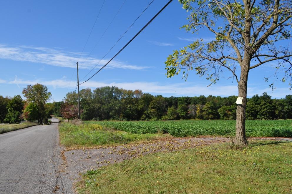 Image for 80.2 +/- Acres Preserved Farmland in Alexandria Twp, NJ-SOLD!