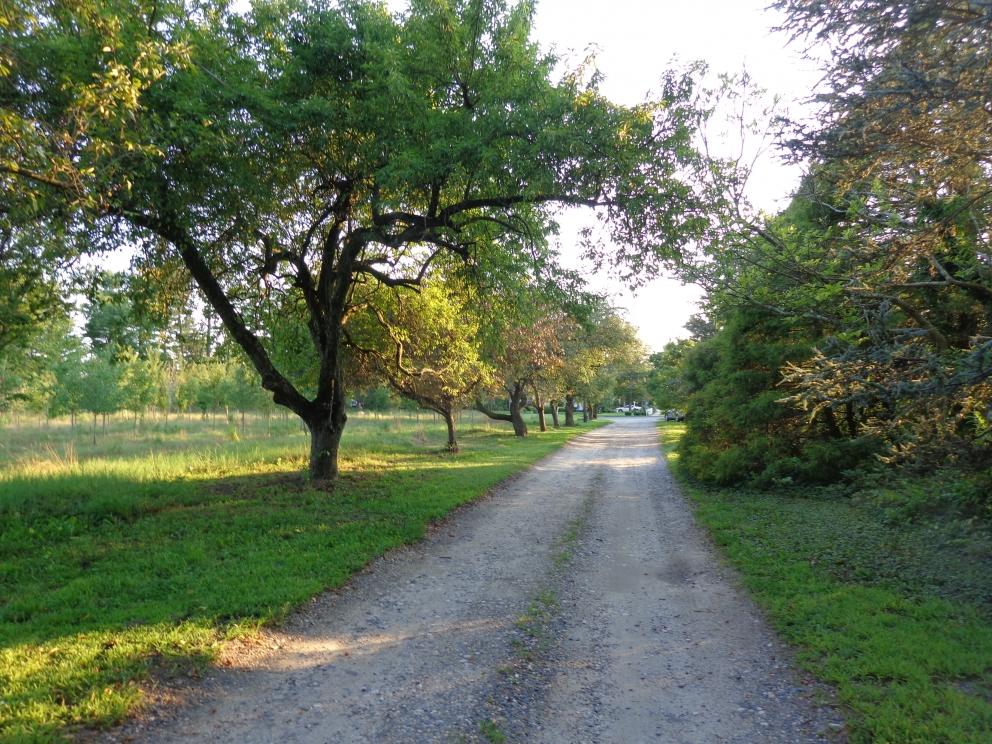 Image for Prickett Nursery with 7 Houses 56+/- Acres, Mantua Twp, NJ-SOLD!