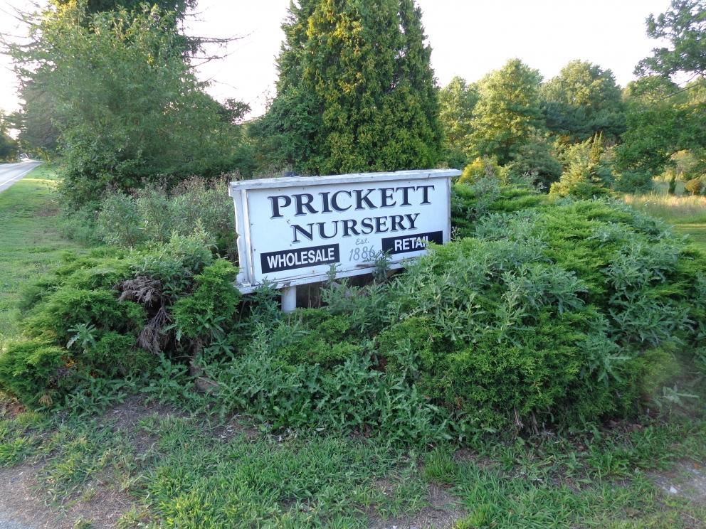Image for Prickett Nursery with 7 Houses 56+/- Acres, Mantua Twp, NJ-SOLD!