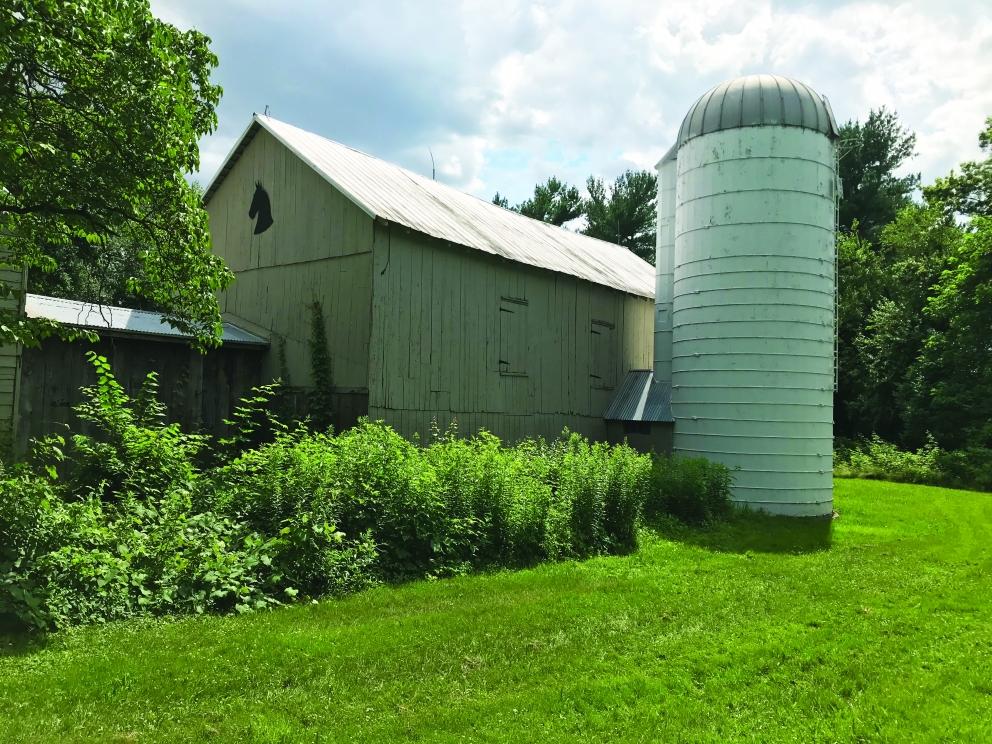 Image for 78.75+/- Acres Preserved Farmland with Private Pond in Columbus NJ-SOLD!