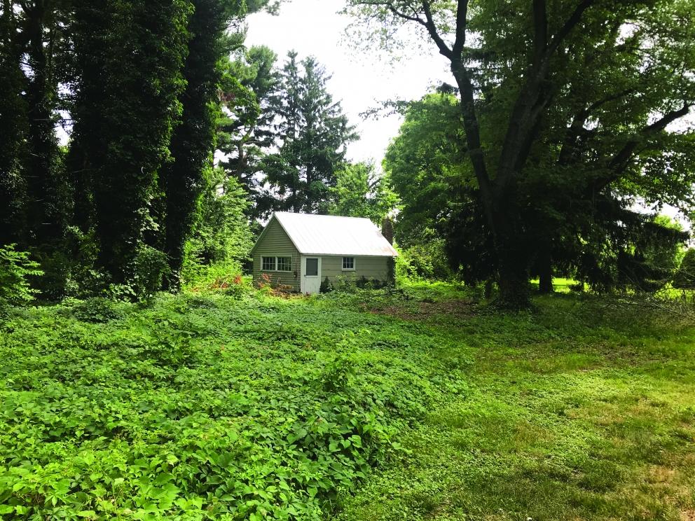 Image for 78.75+/- Acres Preserved Farmland with Private Pond in Columbus NJ-SOLD!