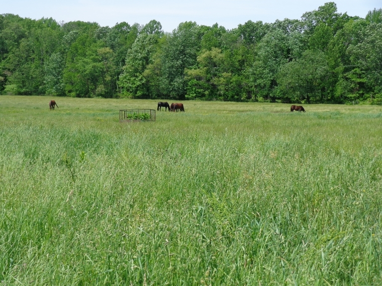 Image for 3 Farms – From 28 to 44 Acres in New Egypt NJ-SOLD!