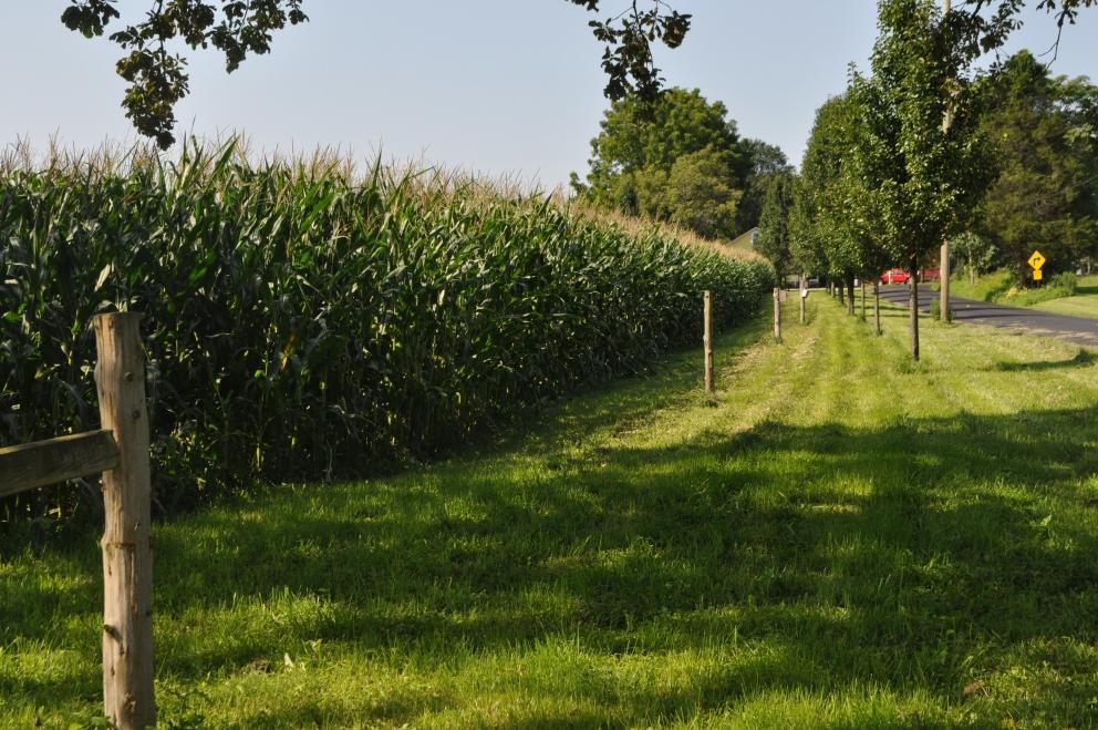 Image for 64.18+/- Acres Preserved Farm with House and Barns in Allamuchy Twp NJ-SOLD!