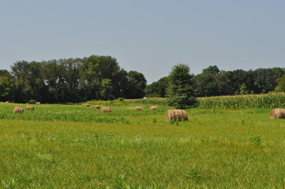 Image for 64.18+/- Acres Preserved Farm with House and Barns in Allamuchy Twp NJ-SOLD!