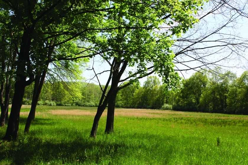 Image for “Hawk Pond” All Seasons 177+/- Acre Mountain Retreat in Mansfield Twp NJ-SOLD!