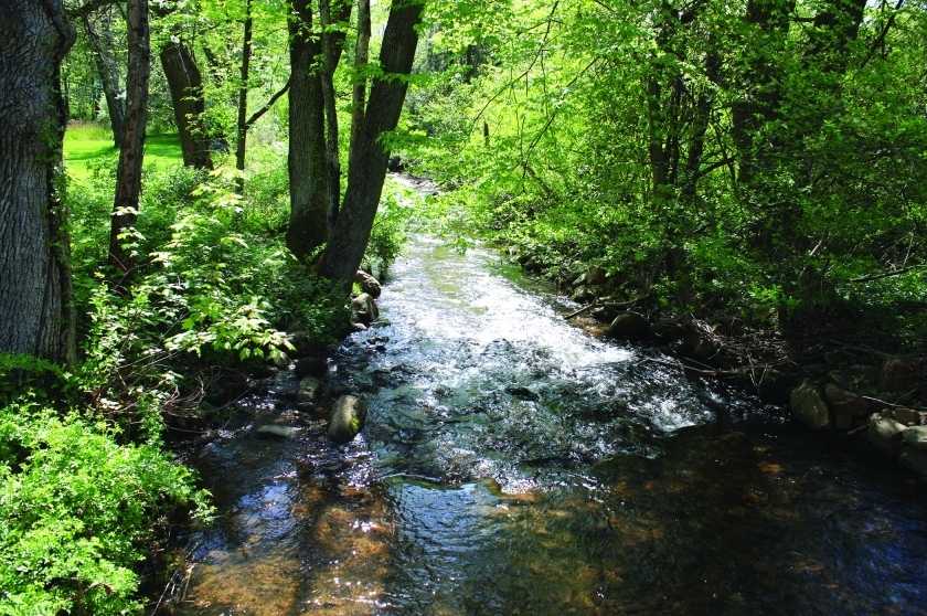 Image for “Hawk Pond” All Seasons 177+/- Acre Mountain Retreat in Mansfield Twp NJ-SOLD!