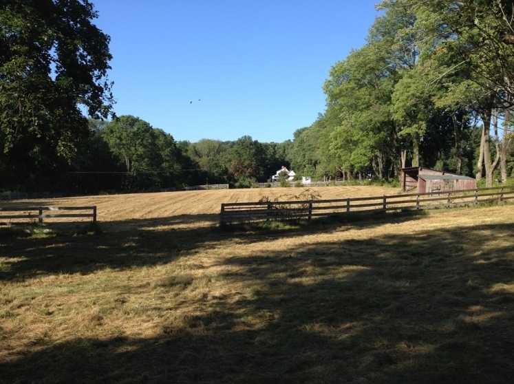 Image for 21.5+/- Acres Farm Assessed–Potential Subdivision in Mendham NJ-SOLD!