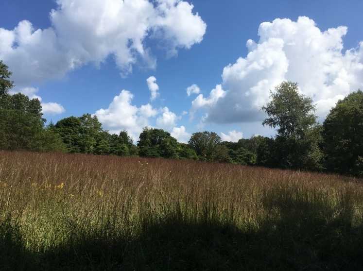 21.5 Acres farm assesed land potential subdivision in mendham nj