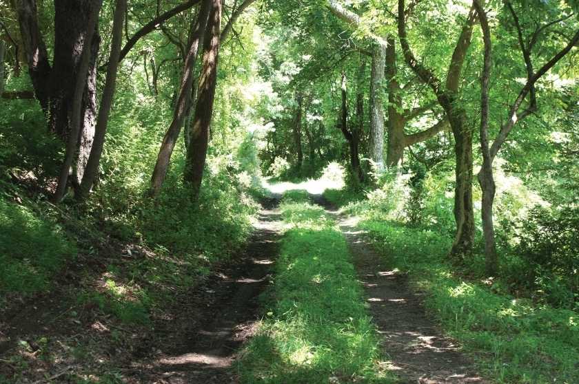 21.5 Acres farm assesed land potential subdivision in mendham nj