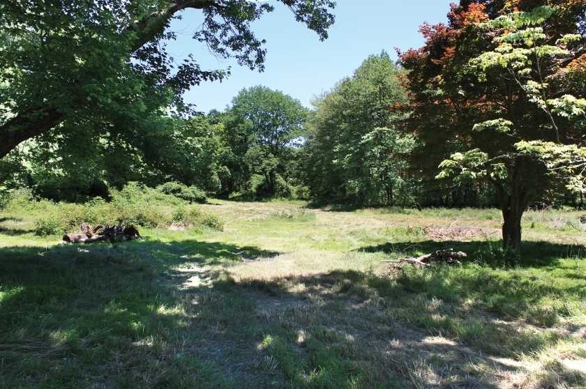 Image for 21.5+/- Acres Farm Assessed–Potential Subdivision in Mendham NJ-SOLD!