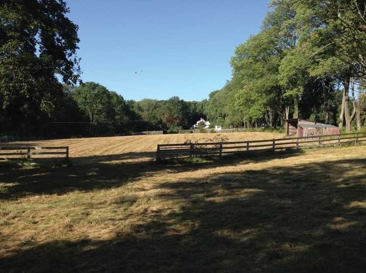 21.5 Acres farm assesed land potential subdivision in mendham nj