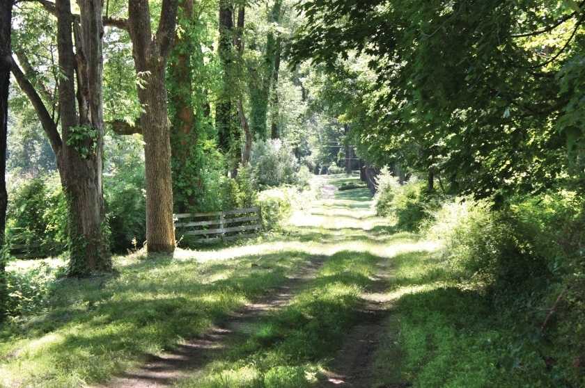 Image for 21.5+/- Acres Farm Assessed–Potential Subdivision in Mendham NJ-SOLD!