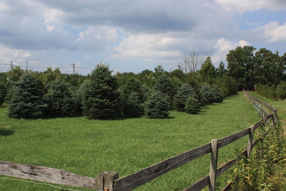 Image for Renowned Stafford Farm in Voorhees Twp NJ-SOLD!