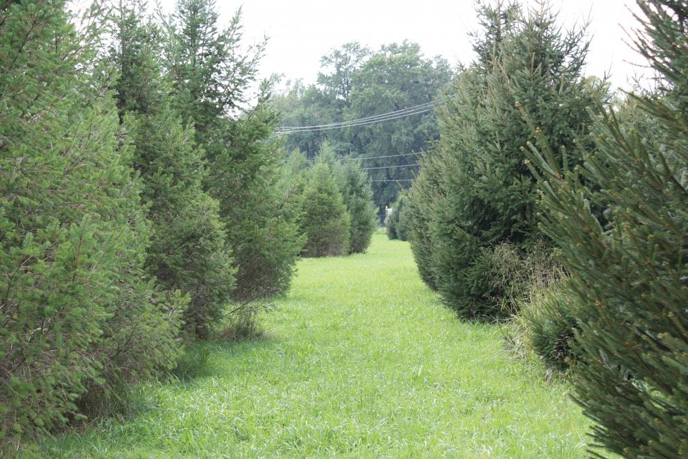 Image for Renowned Stafford Farm in Voorhees Twp NJ-SOLD!