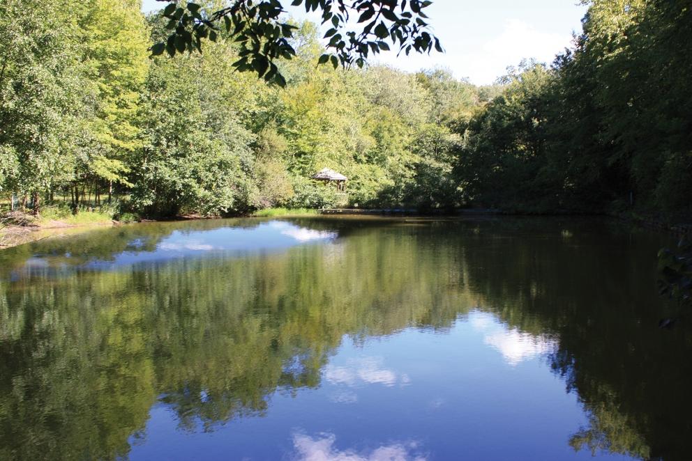 Image for 21.69+/- Secluded Acres With a Private Pond Kinnelon, NJ-SOLD!