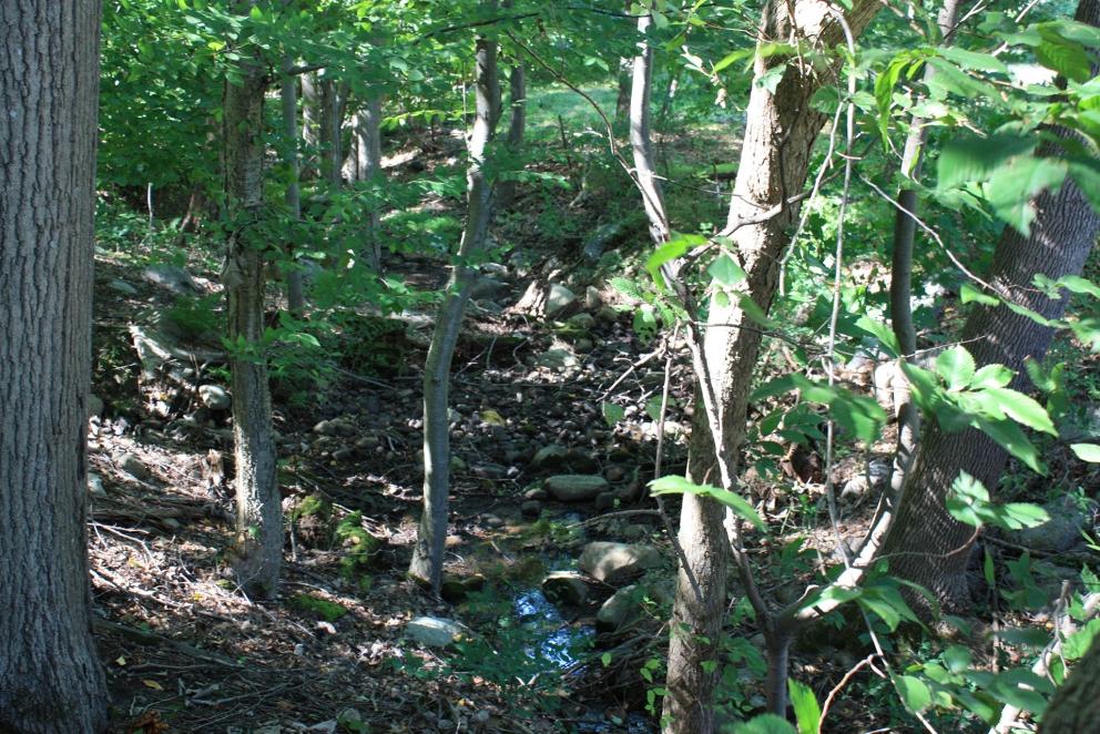 Image for 21.69+/- Secluded Acres With a Private Pond Kinnelon, NJ-SOLD!