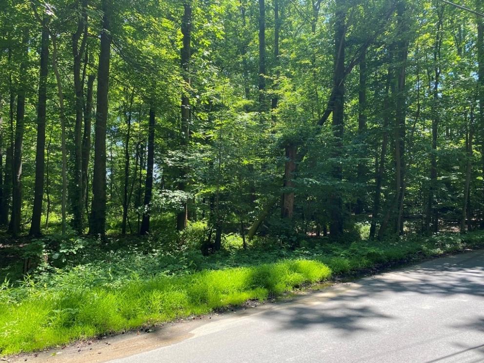 Image for Five Lots in Middletown & Hazlet Townships NJ-SOLD!