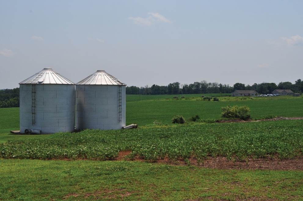 Image for 100+/- Preserved Acres with Country Home, Alexandria NJ-SOLD!