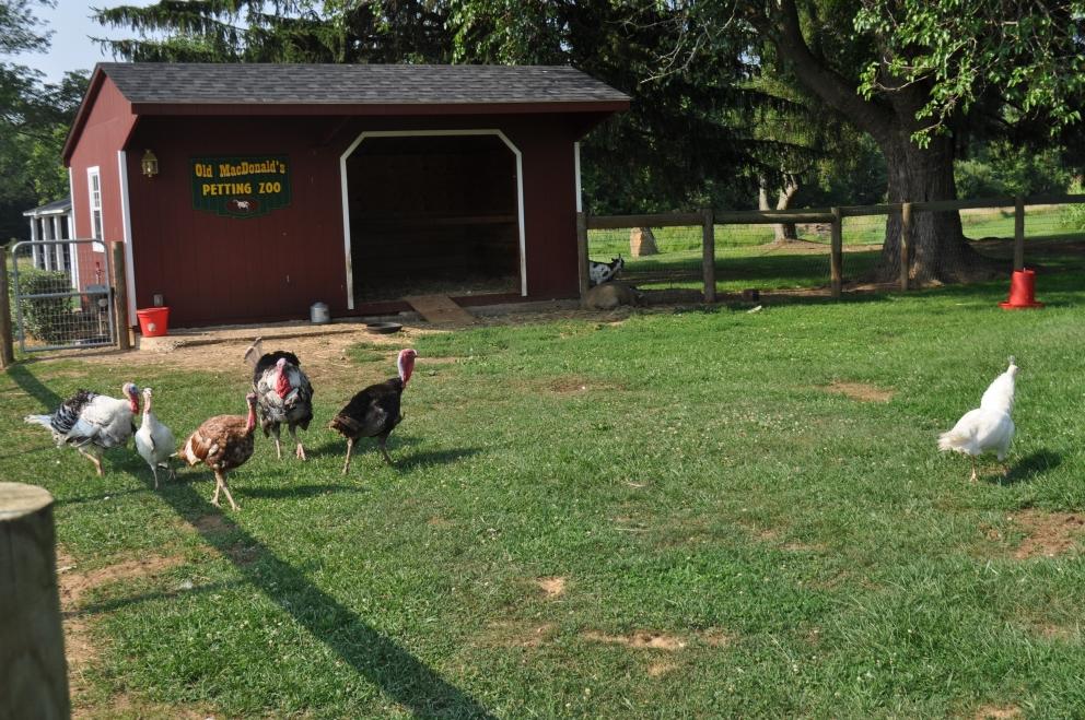Image for 91.7+/- Acres Preserved Farmland Lebanon Twp, NJ-SOLD!