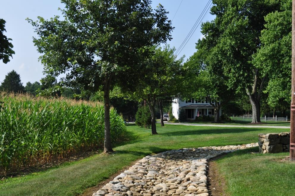 Image for 91.7+/- Acres Preserved Farmland Lebanon Twp, NJ-SOLD!