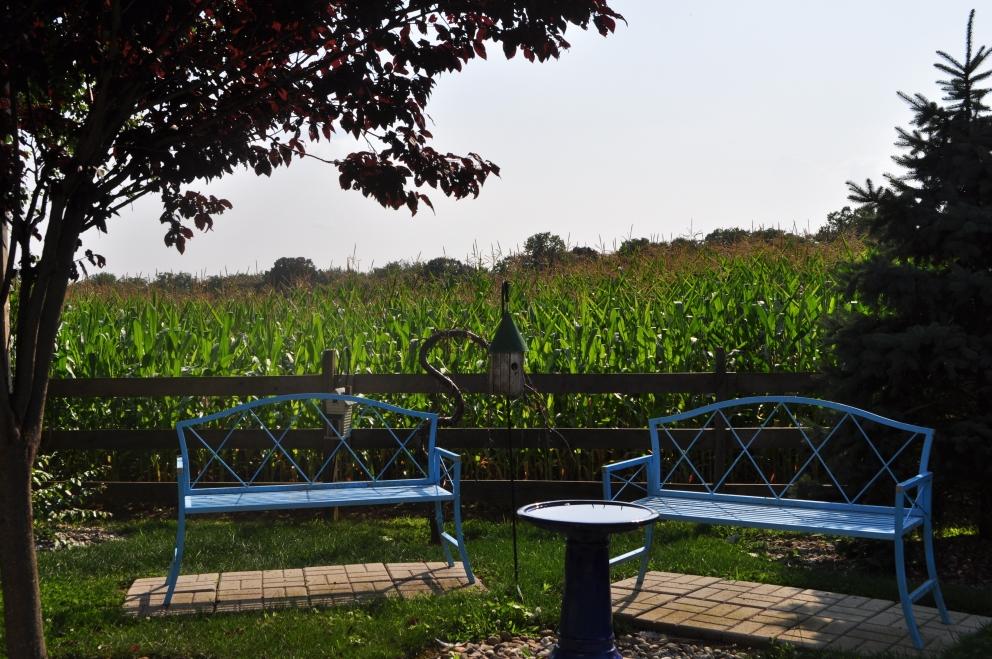 Image for 91.7+/- Acres Preserved Farmland Lebanon Twp, NJ-SOLD!