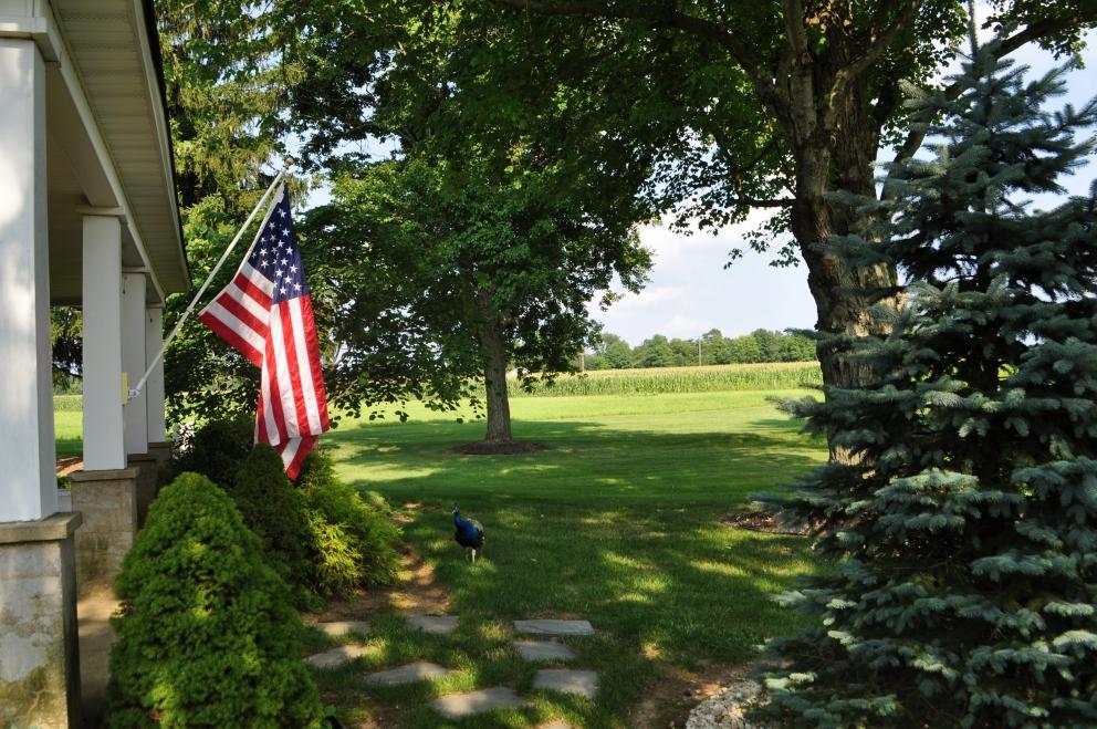 Image for 91.7+/- Acres Preserved Farmland Lebanon Twp, NJ-SOLD!